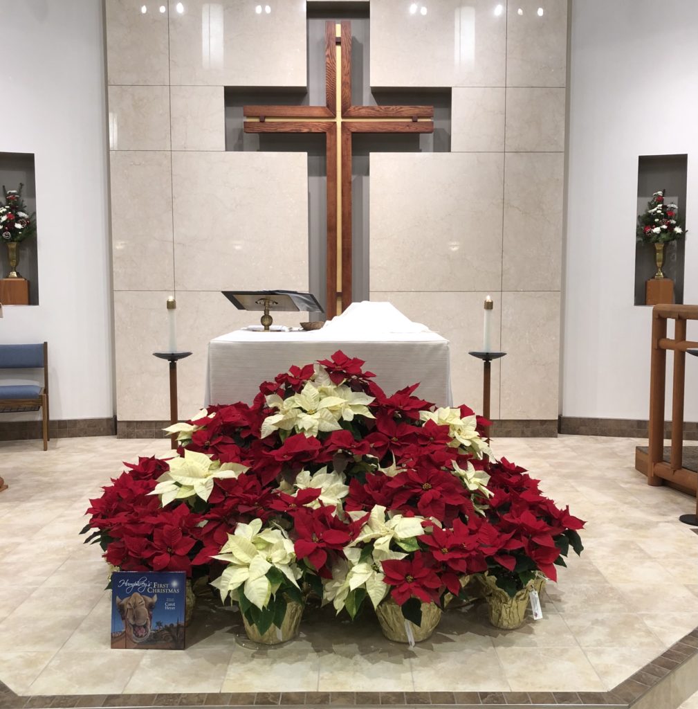 Christmas altar - Grace Lutheran Hatfield